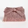 Loeffler Randall Rayne Pleated Frame Clutch With Bow