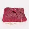 Loeffler Randall Pleated Frame Clutch With Bow